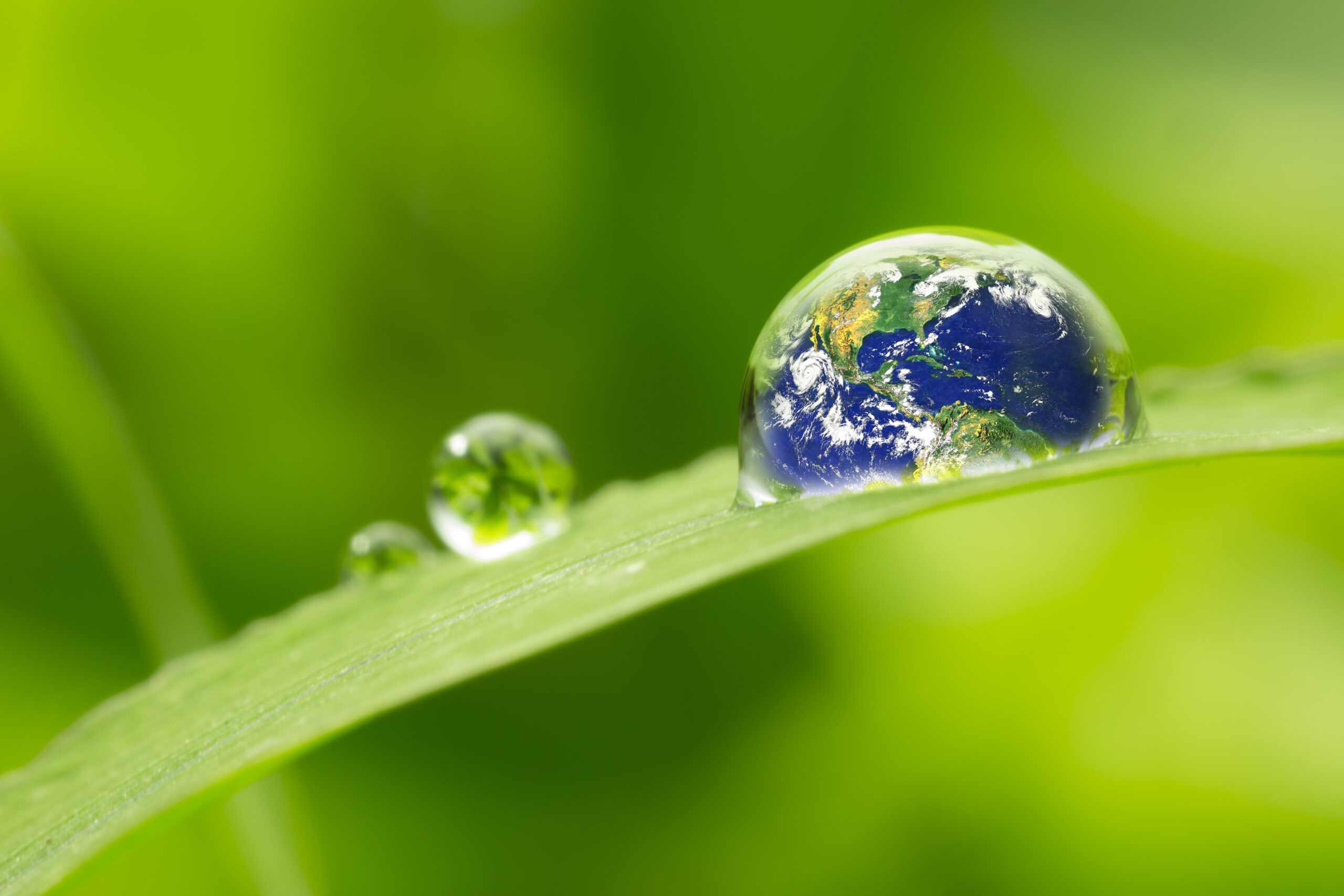 leaf with rain droplets – Recovery earth concept